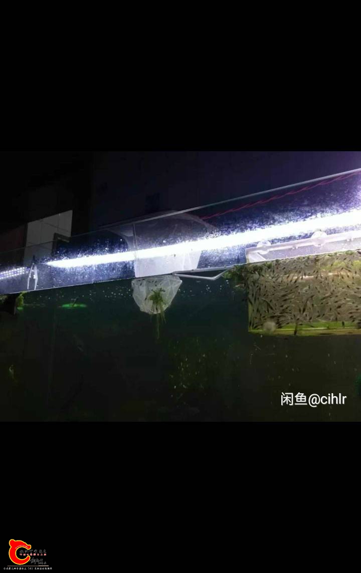 141433vxogn8wh3128iqii.jpg