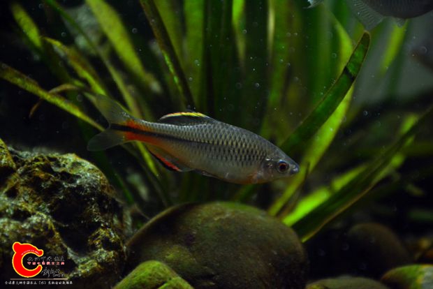 DSC_3605.JPG