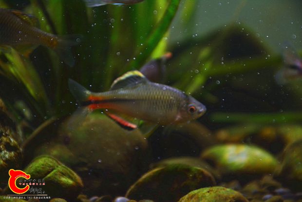 DSC_3610.JPG