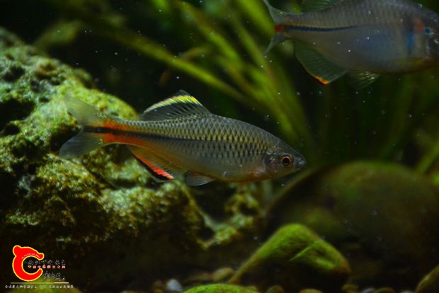 DSC_3612.JPG