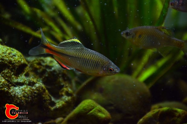 DSC_3613.JPG