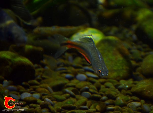 DSC_3620.JPG