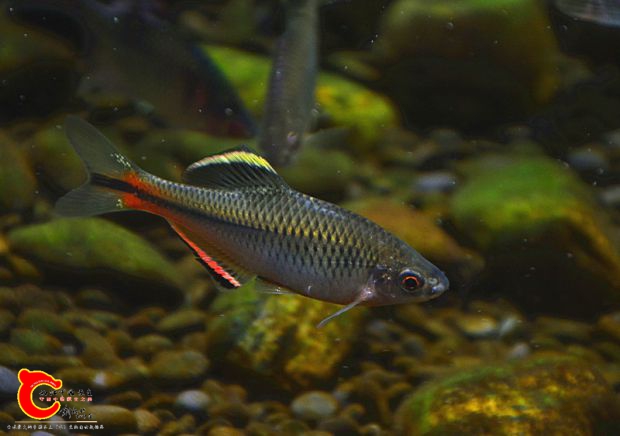 DSC_3621.JPG