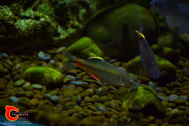 DSC_3622.JPG
