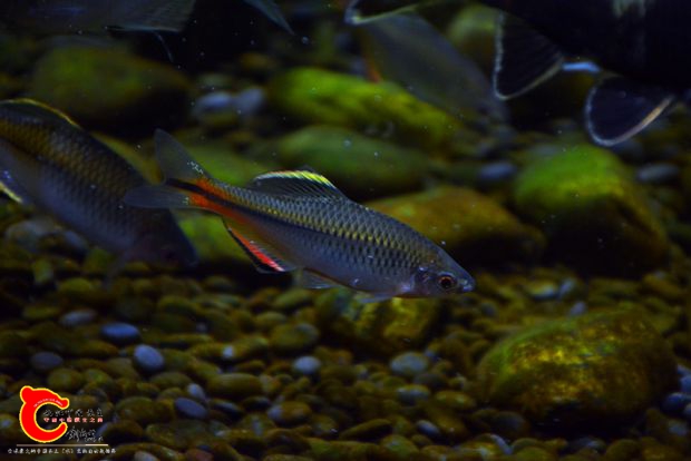 DSC_3623.JPG