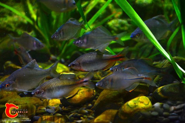DSC_3583.JPG