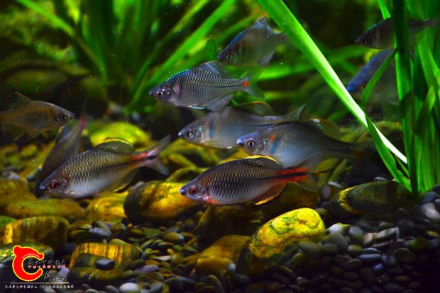 DSC_3584.JPG