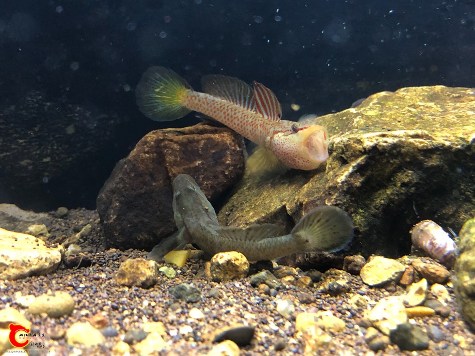 161016orbwwfg57g7kcbzf.jpg