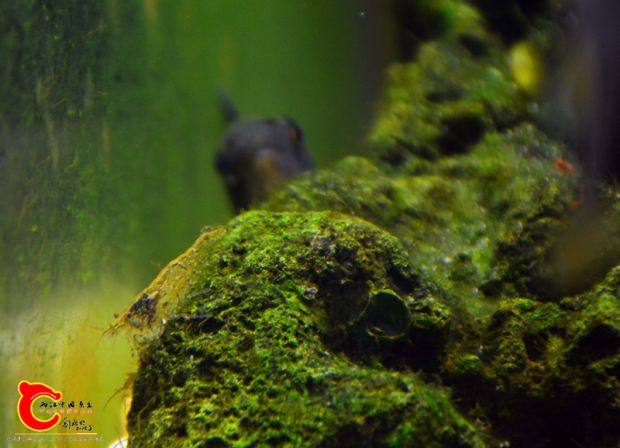 DSC_3557.JPG