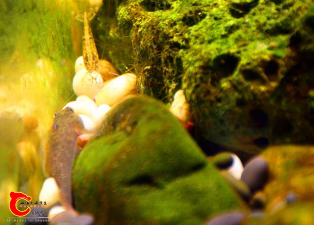 DSC_3568.JPG