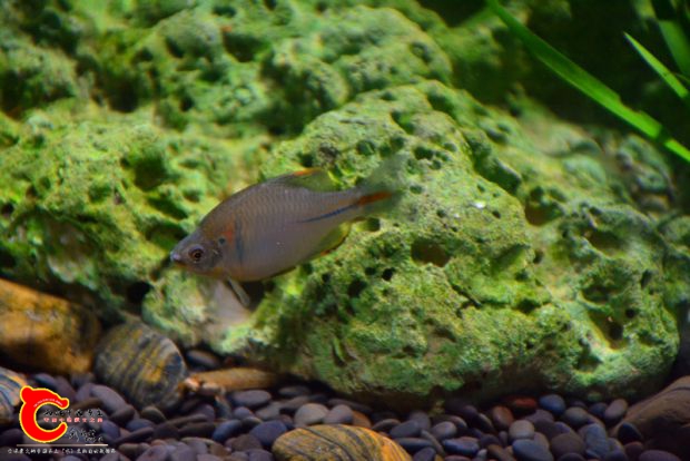 DSC_3506.JPG