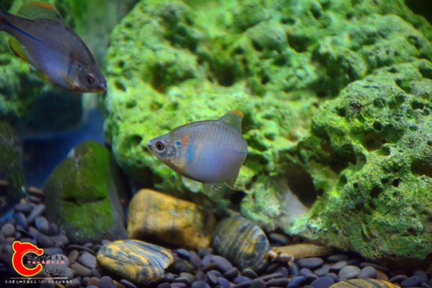 DSC_3507.JPG