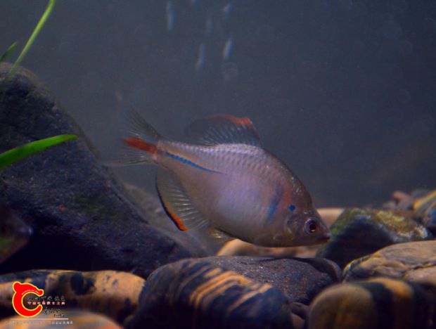 DSC_3517.JPG