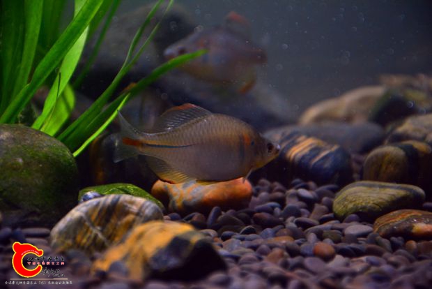DSC_3518.JPG