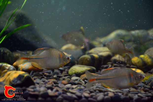 DSC_3521.JPG