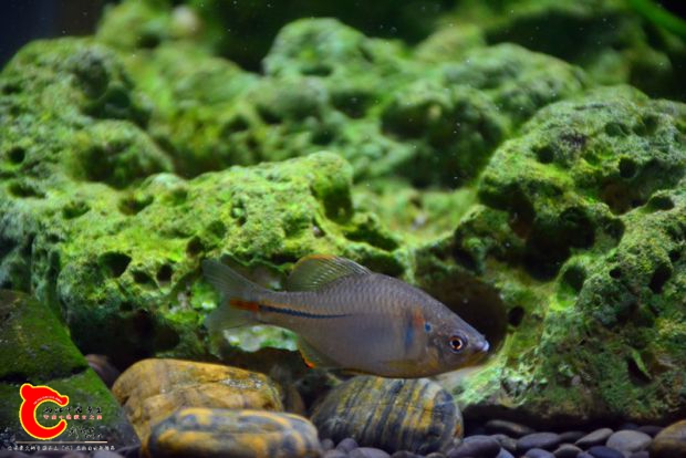 DSC_3526.JPG