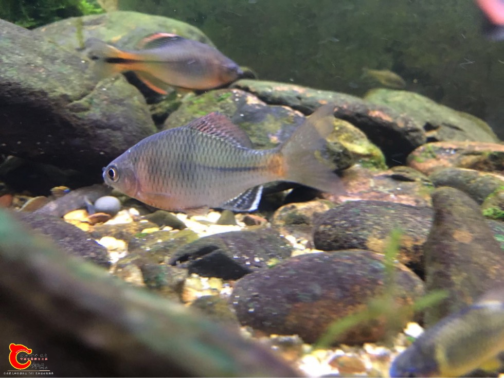 080836atvxdspysxjppjv7.jpg