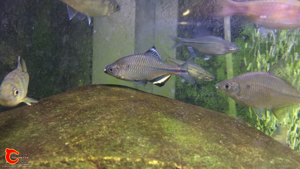 201151k11fh2662i6e2tf4.jpg