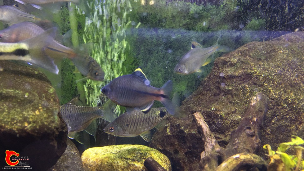 201154lelwb5p8owzzpvgl.jpg