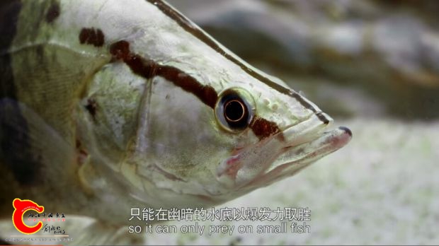 QQ截图20180208103519.jpg