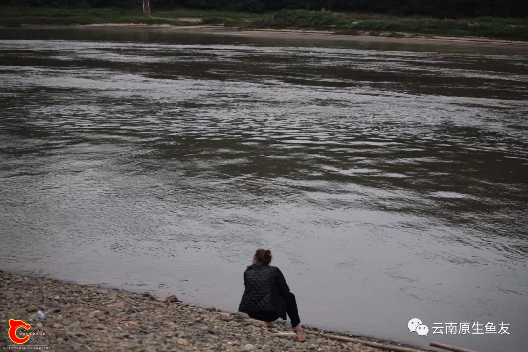 a429a98987488cb807206fd1e1c97d3b.jpg