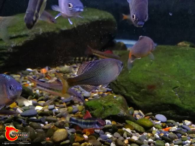 144538zrhha9r9zr6wtv66.jpg