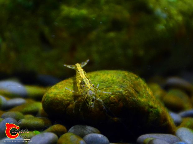 DSC_3536.JPG