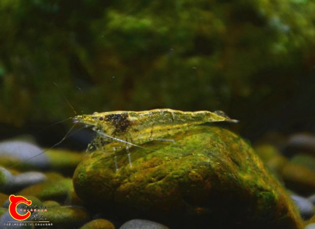 DSC_3538.JPG