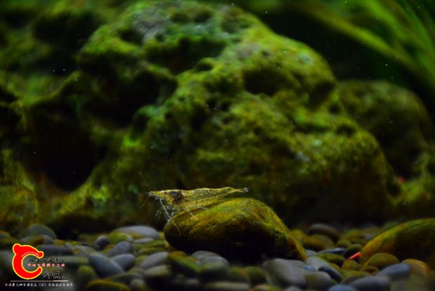 DSC_3539.JPG