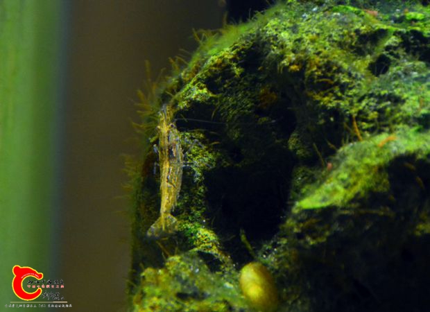 DSC_3575.JPG