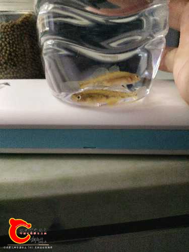 IMG20180226230556.jpg