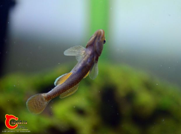 DSC_3545.JPG