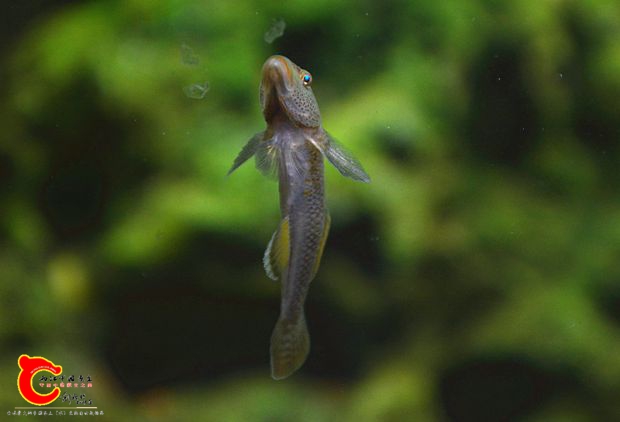 DSC_3546.JPG