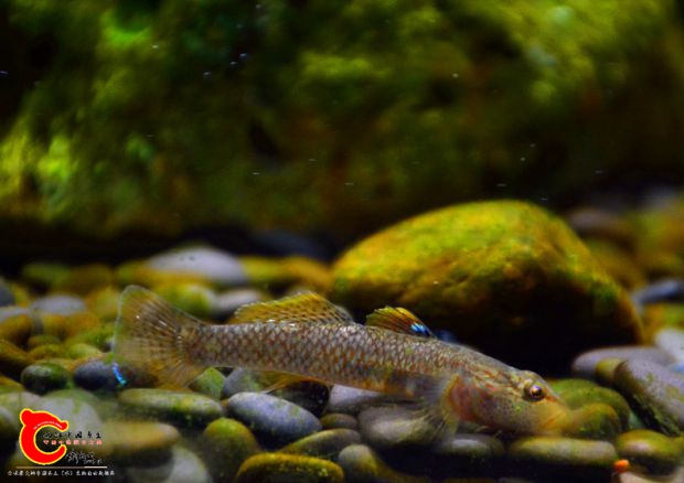 DSC_3555.JPG