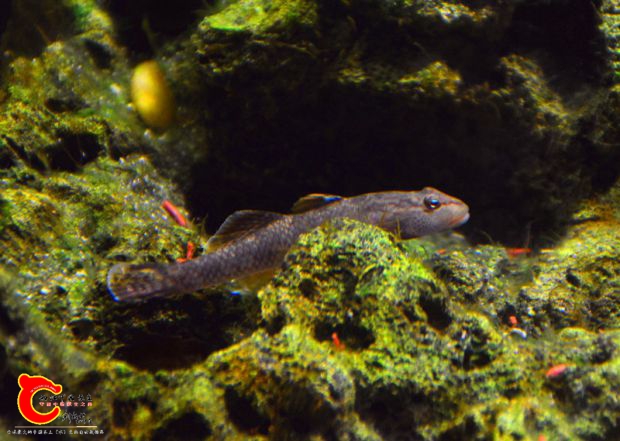 DSC_3581.JPG