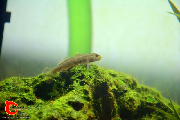 DSC_3582.JPG