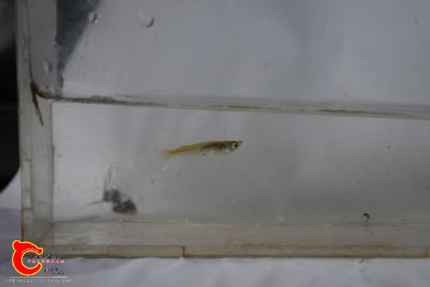 DSC_0018_副本.jpg
