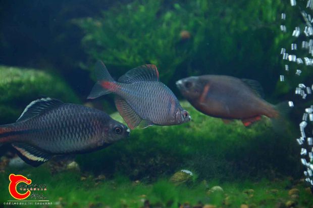 DSC_3776.JPG