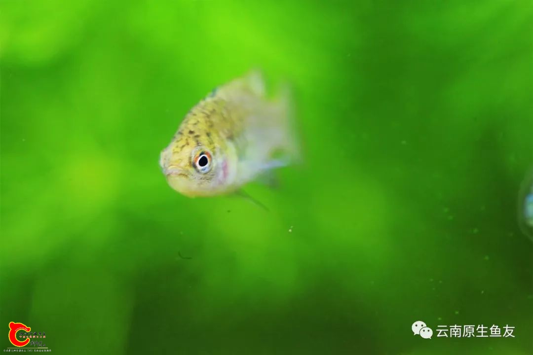 cb53db8bf6f230ebe577ebdf0d39b0f6.jpg
