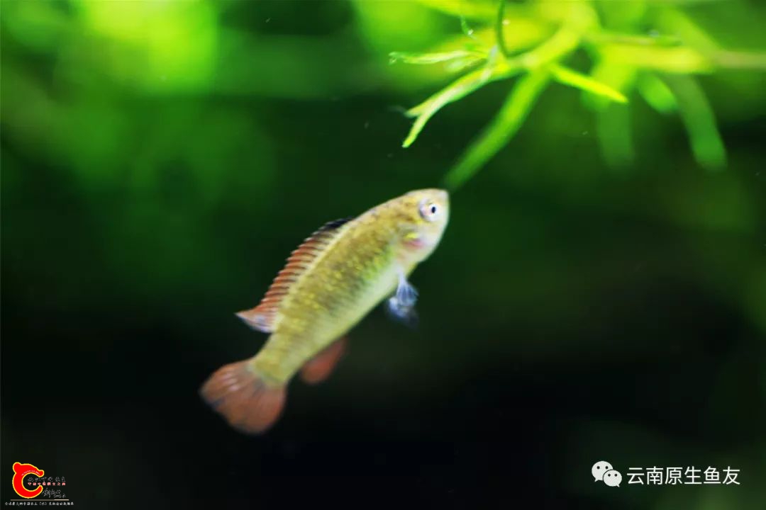 f2c1df7f73d64b329df5f5002eda6d1a.jpg