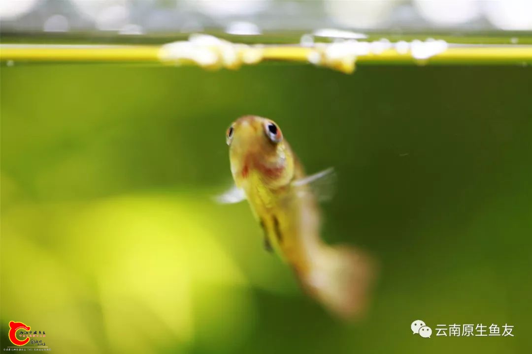 c6635e795e6a80cbcd5c5e5eb25f8158.jpg