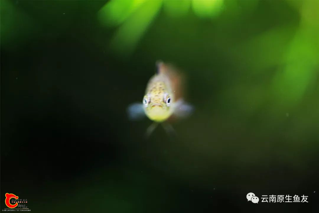 61e793ab33a551fbc06fc960f0f197c8.jpg