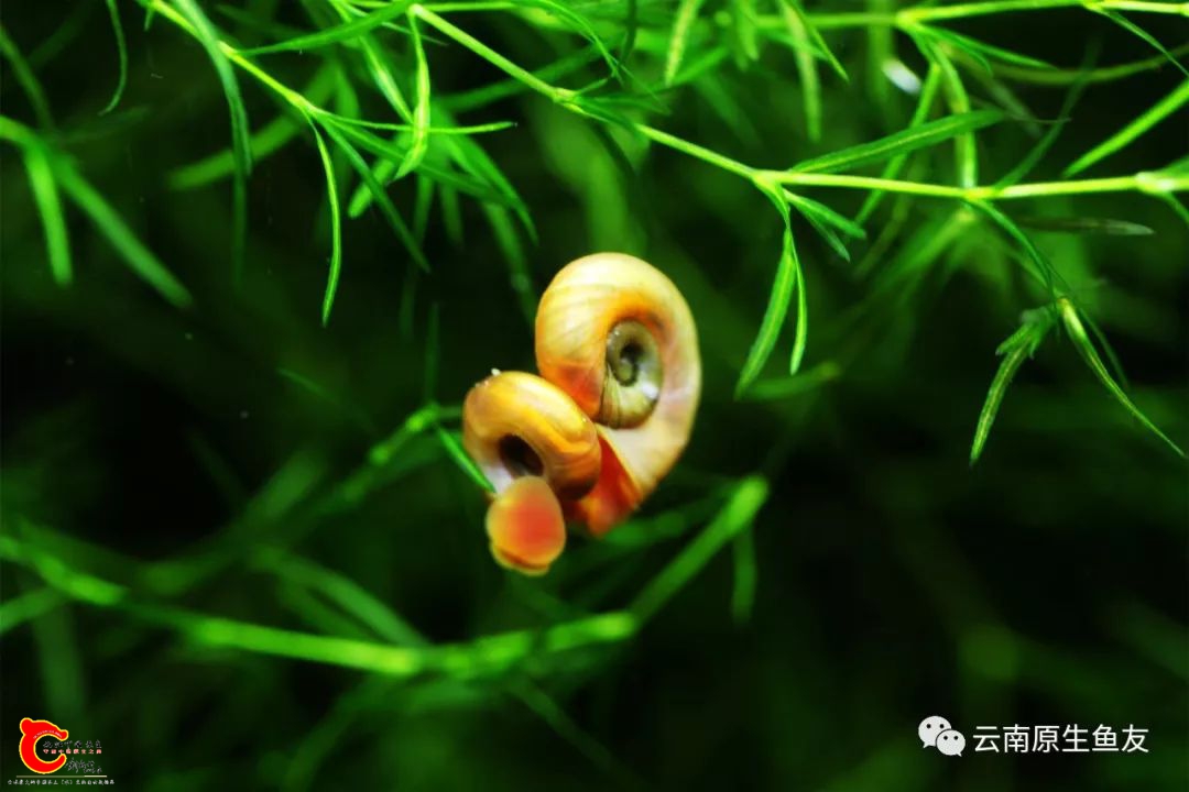 3dfa41e65da0d9ab55a639224d0f7add.jpg