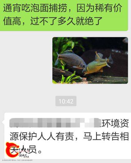 359232982428653394_副本_副本.jpg