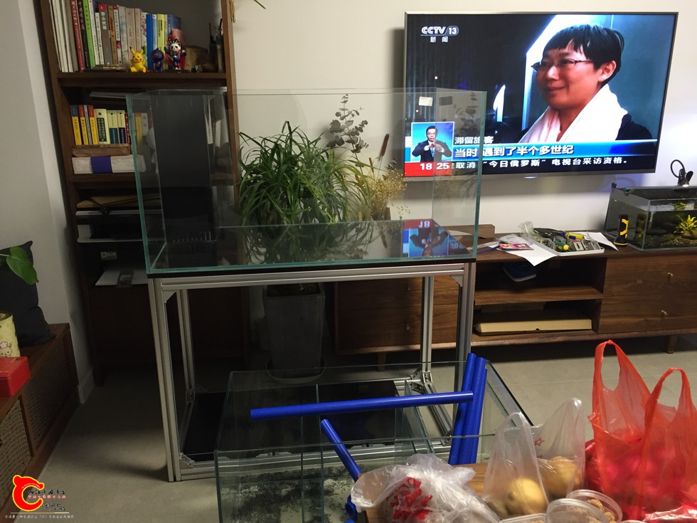 131130l0jn6m6dfj7nolno.jpg