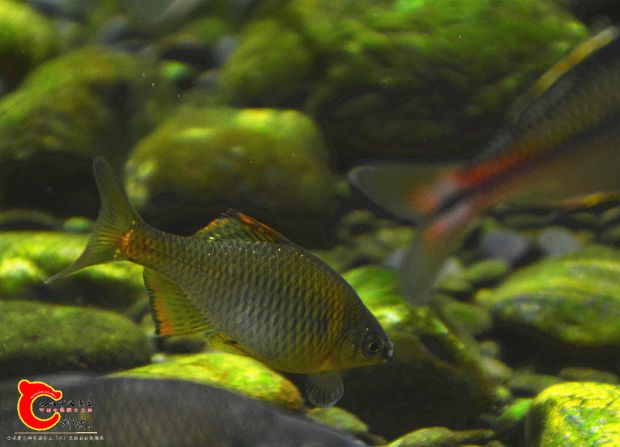 DSC_3767.JPG