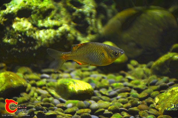 DSC_3775.JPG