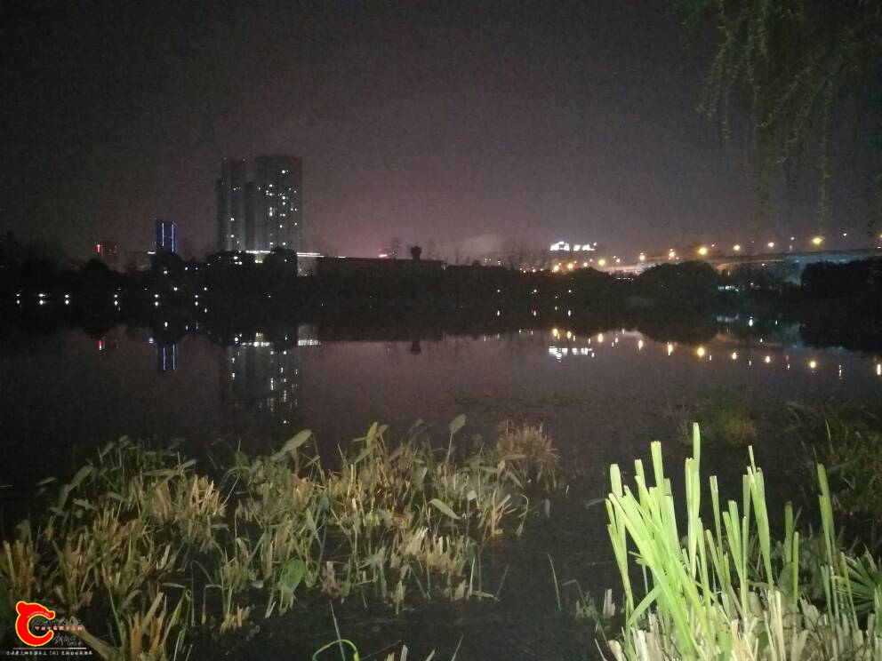 021819nonin03lwii2zfxz.jpg