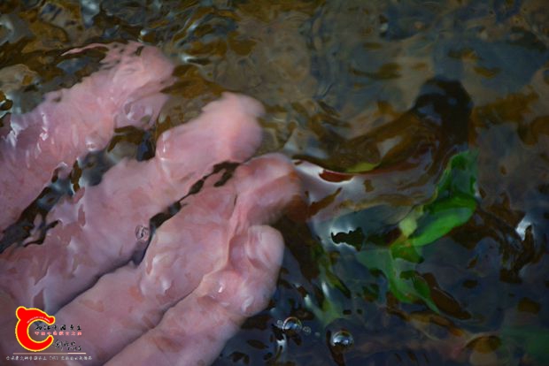 DSC_3645.JPG