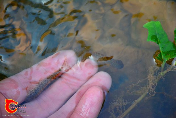 DSC_3649.JPG